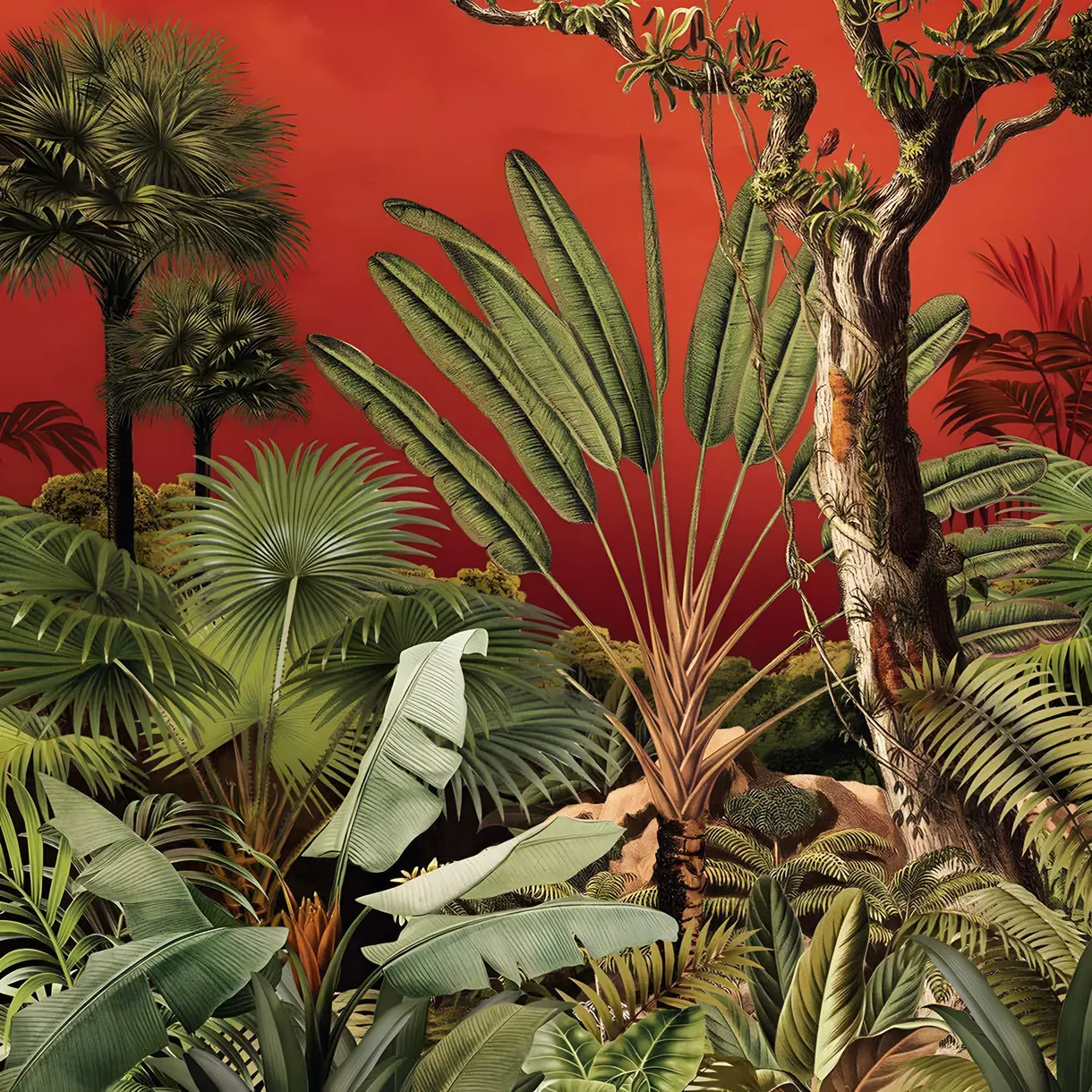 Palmiers et plantes tropicales devant un mur rouge