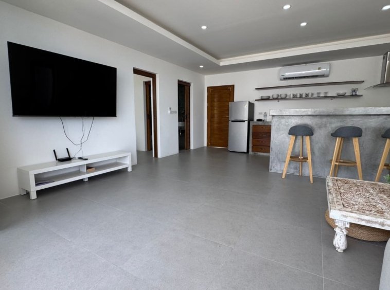 Grand séjour TV murale bar béton cuisine équipée réfrigérateur appartement Emerald