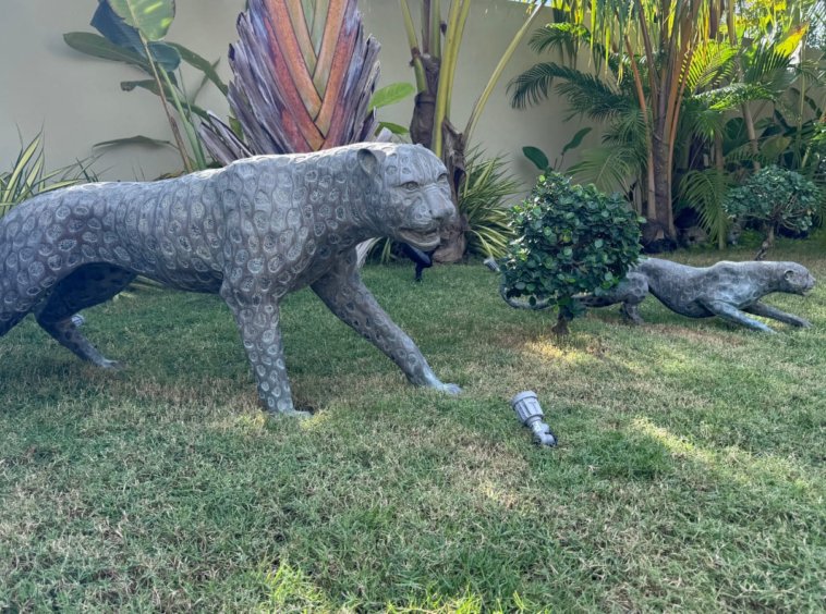 Jardin tropical de la Villa Sunny Ban