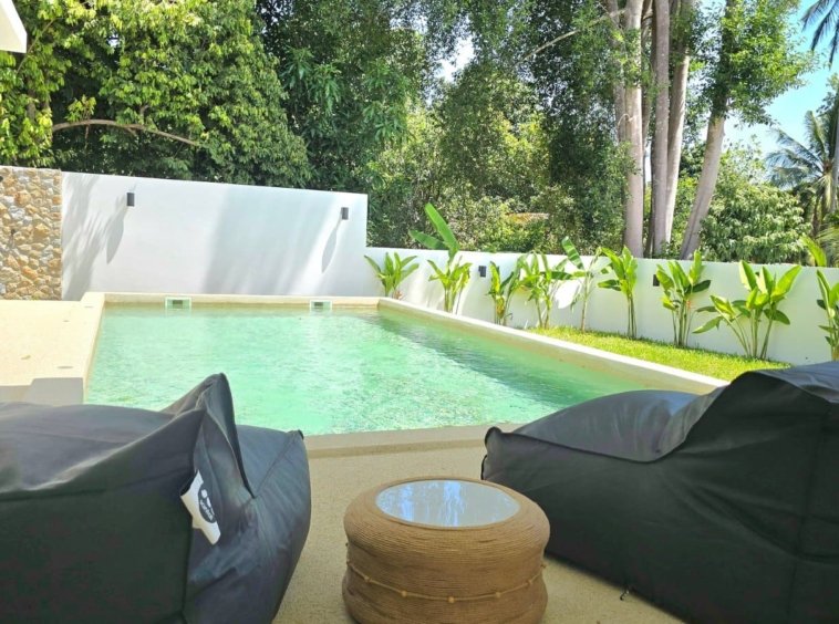 Piscine de la Villa Ankaa entourée de cocotiers